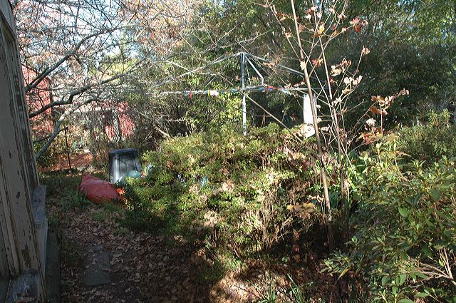 dsc_0369.jpg