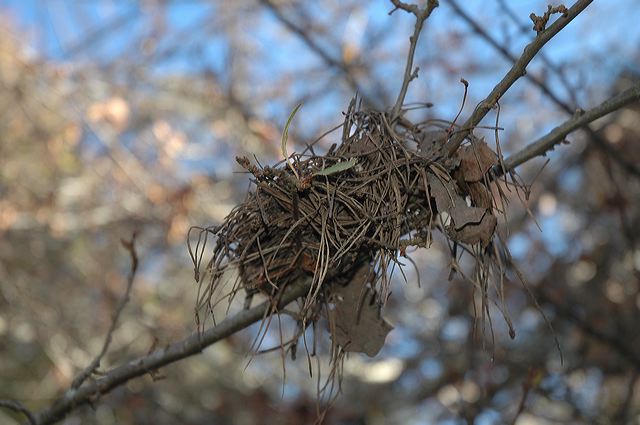 dsc_0378.jpg