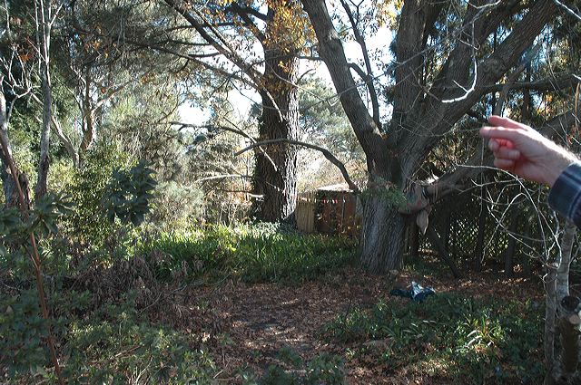 dsc_0381.jpg