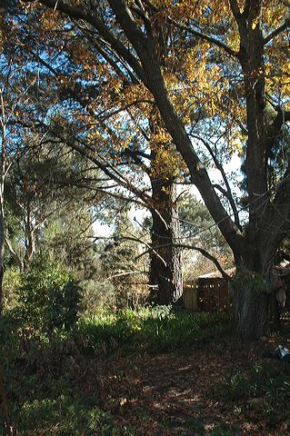 dsc_0382.jpg