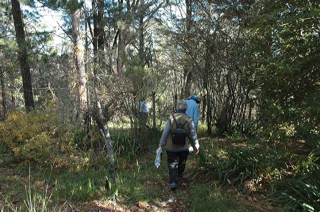 dsc_0387.jpg