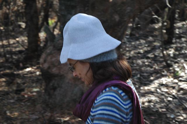 dsc_0417.jpg