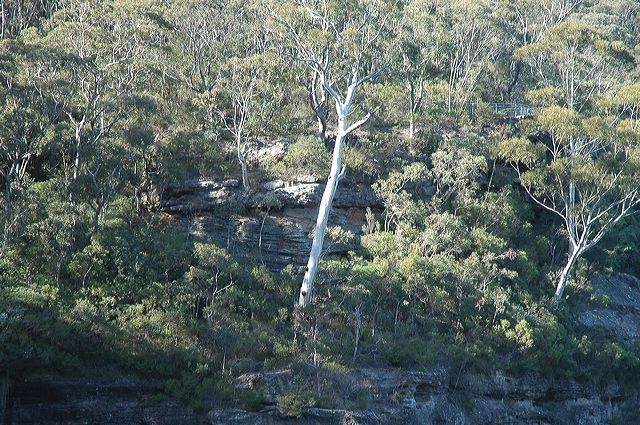 dsc_0453.jpg