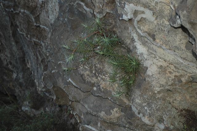 dsc_0492.jpg
