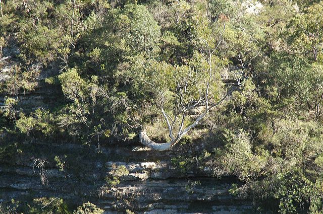 dsc_0498.jpg