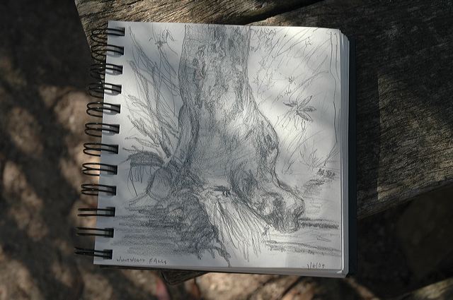 dsc_0570.jpg