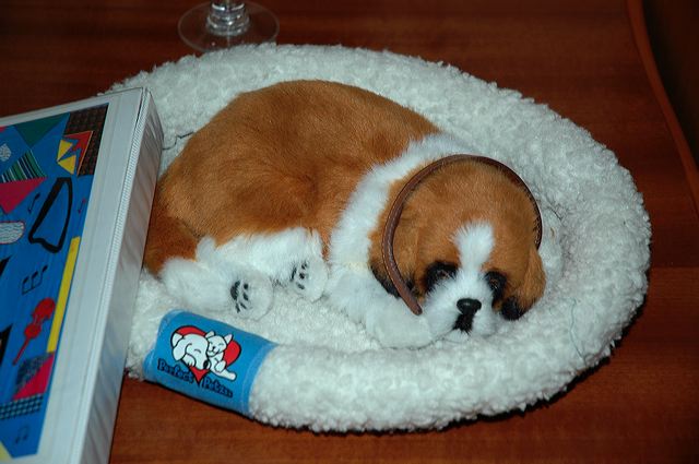 dsc_4135.jpg